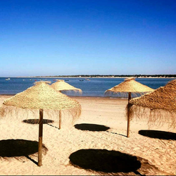 Gevlochten Parasol Kusa